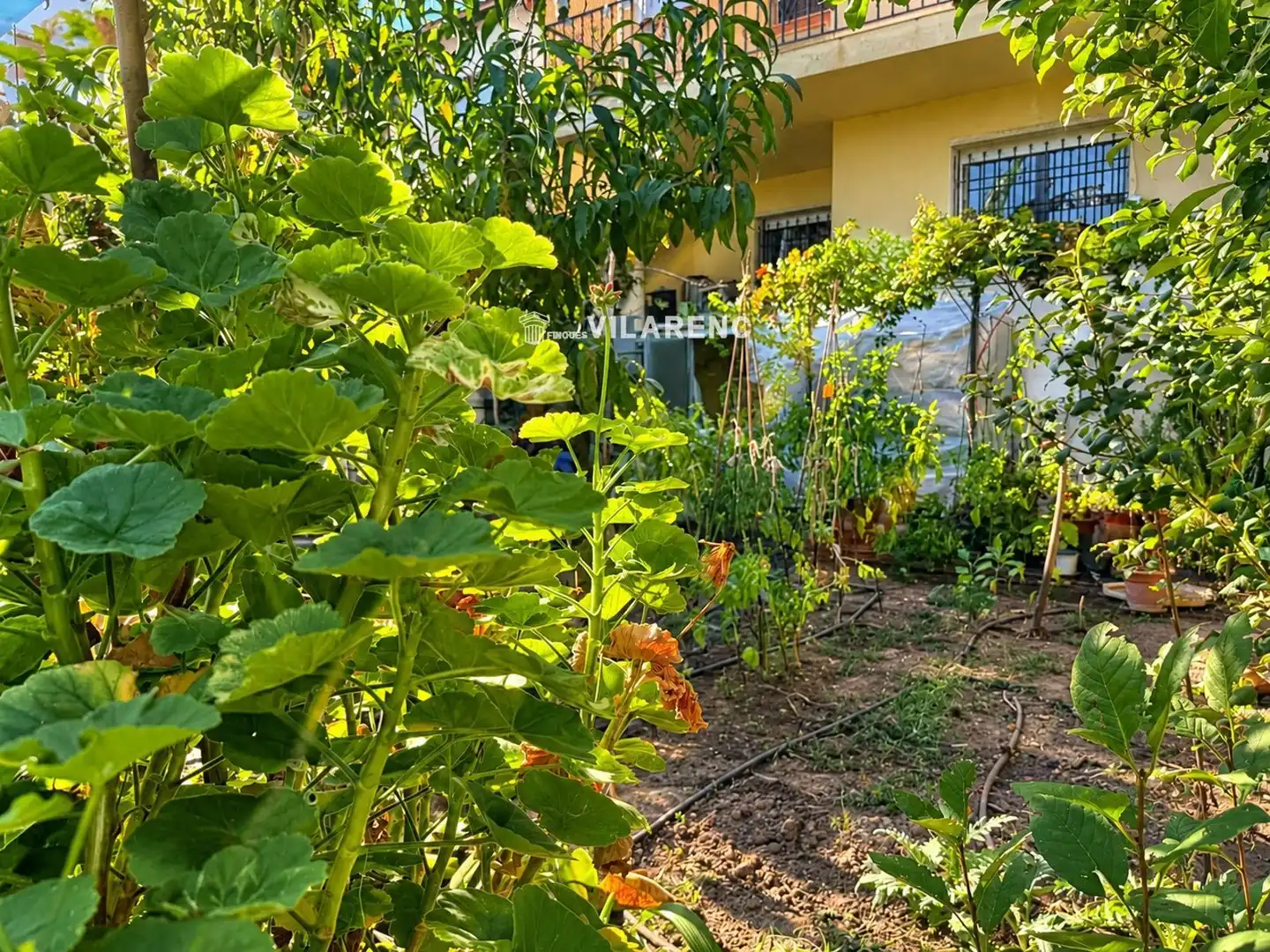 Terraced house with garden for sale in Ocea Atlantic, imagen 24