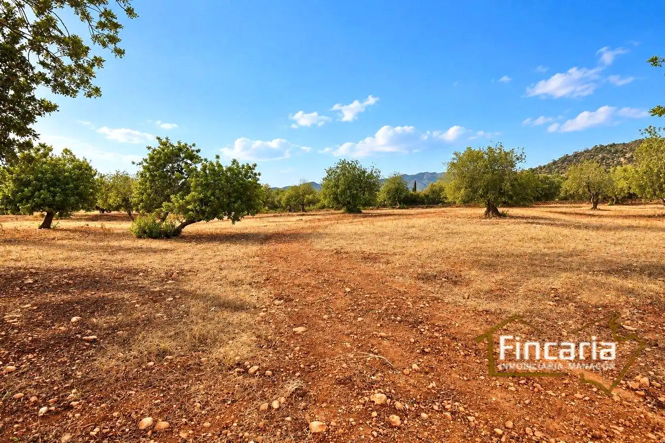 Country homes for sale in Marratxinet