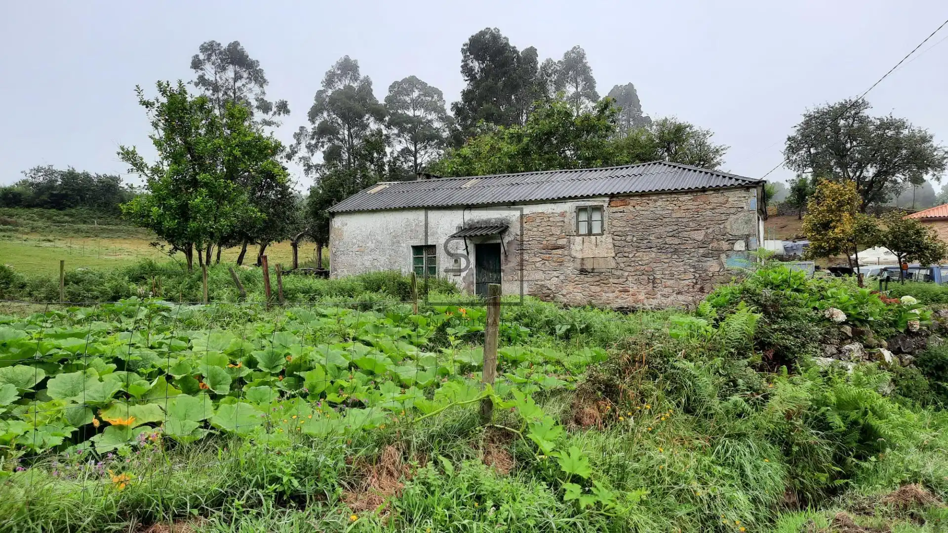 Vista exterior de Finca rústica en venda en Ferrol amb Jardí privat