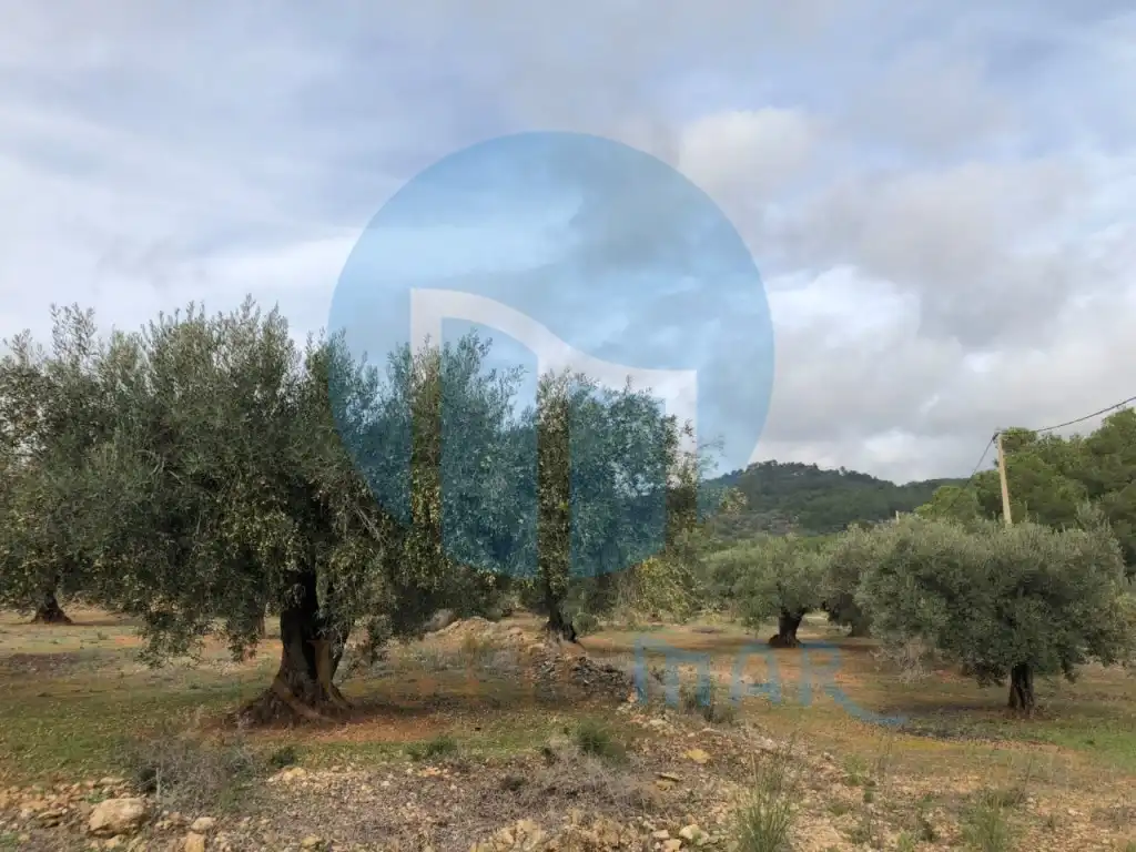 Finca rústica en venda en L'Ampolla