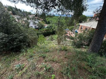 Terreny rústic en venda a Calle Jacint Verdaguer 66