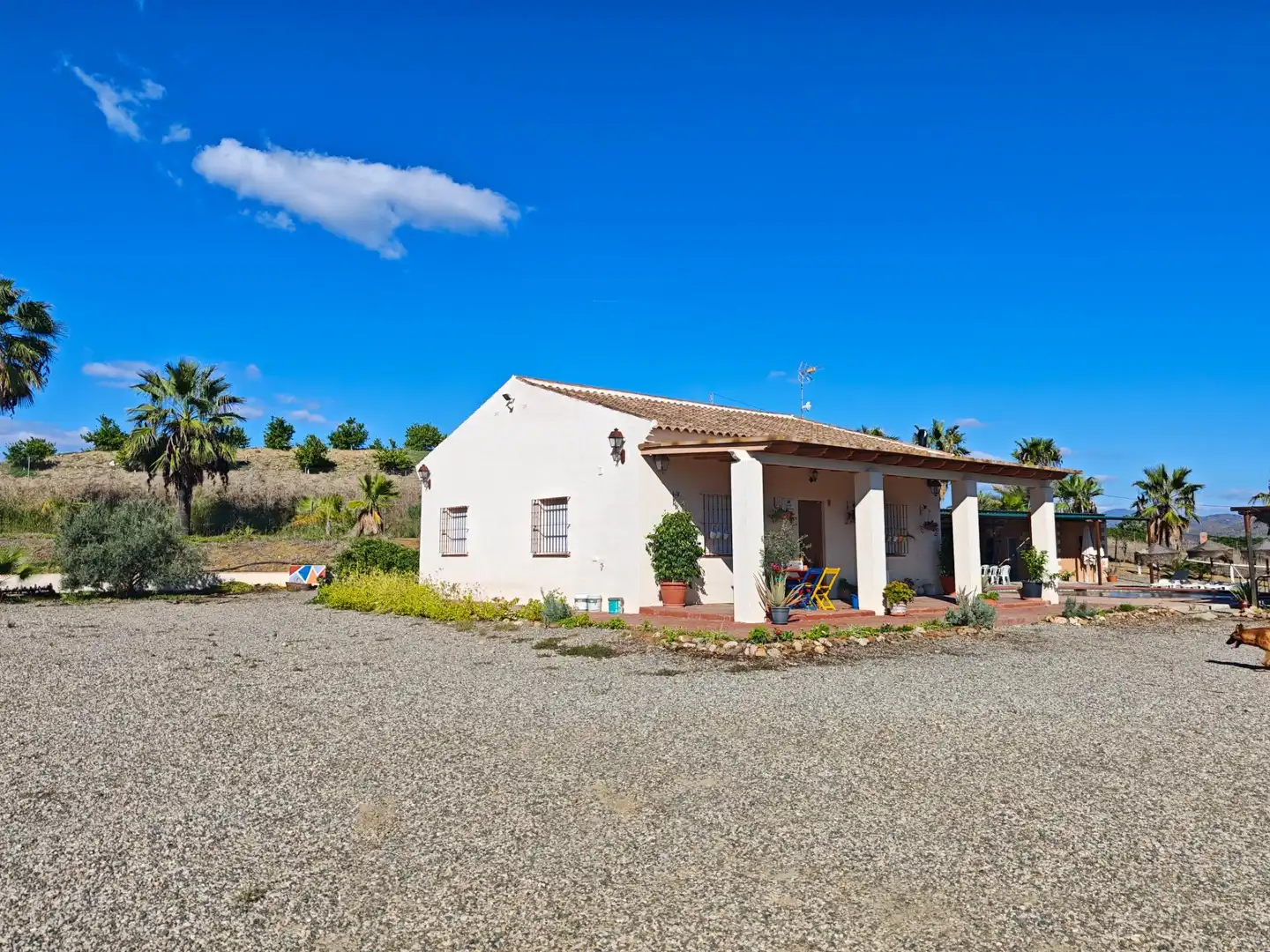 Vista exterior de Finca rústica en venta en Cártama con Aire acondicionado, Calefacción y Jardín privado