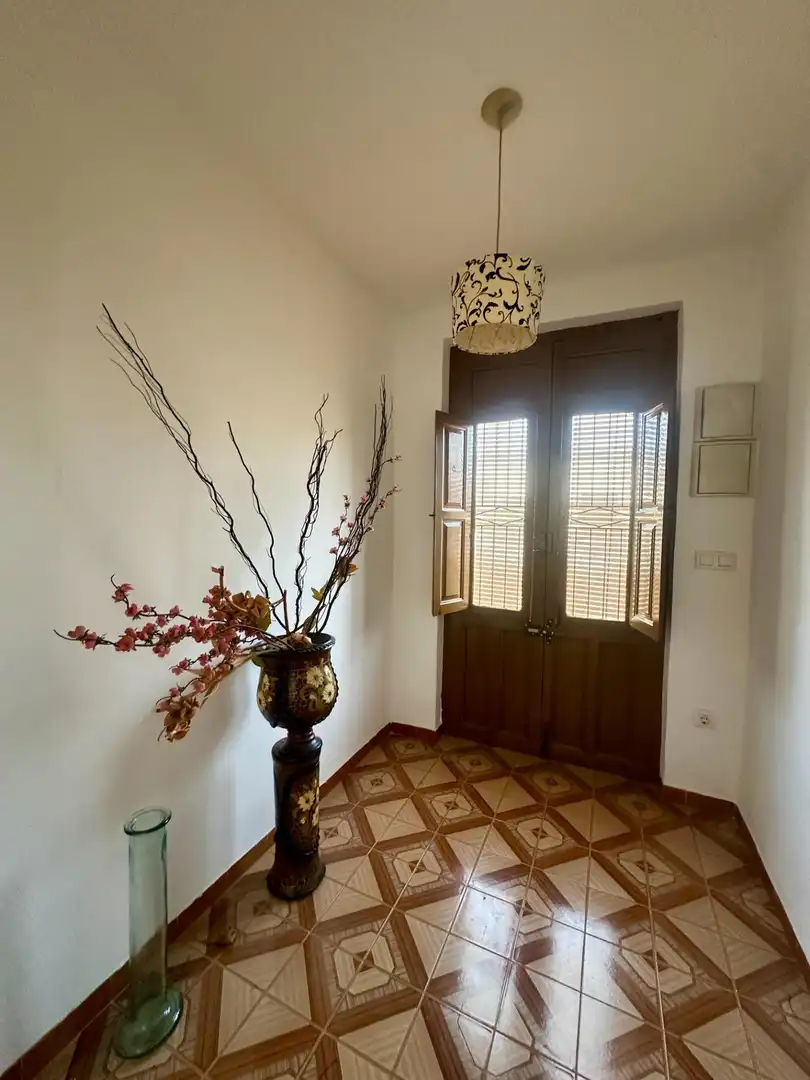 House with garden for sale in Pedanías Oeste, imagen 36