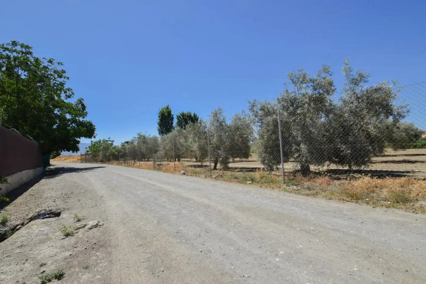 Finca rústica en venta en Cúllar Vega