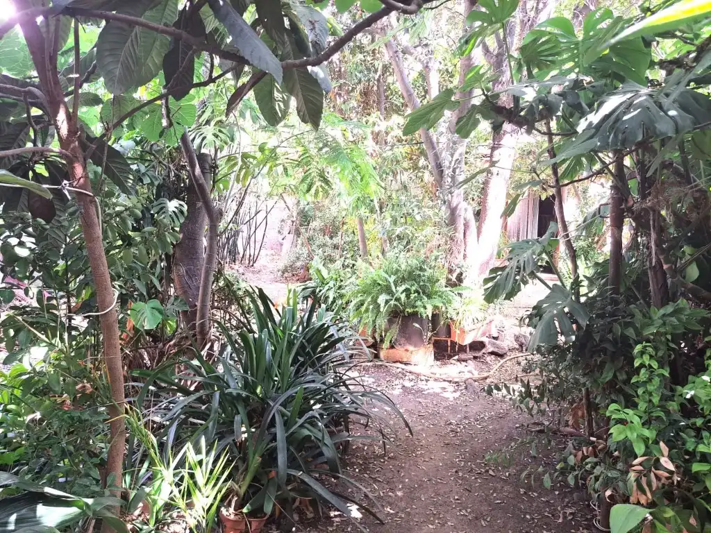Jardí de Casa o xalet en venda en Sa Pobla
