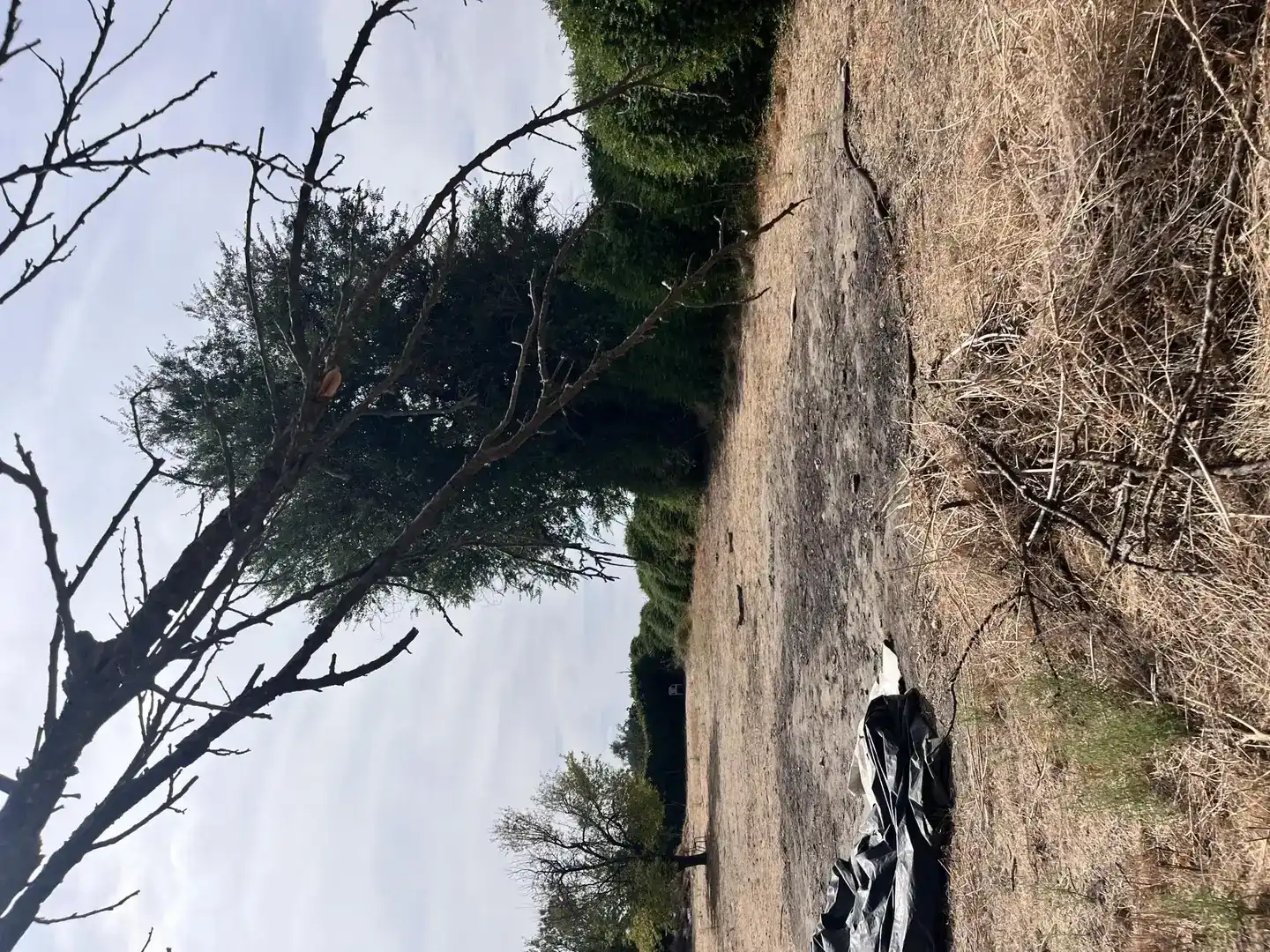 Land for sale in Pinto