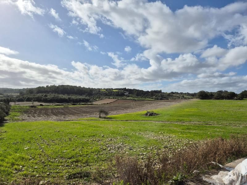 House or chalet for sale in Montuïri