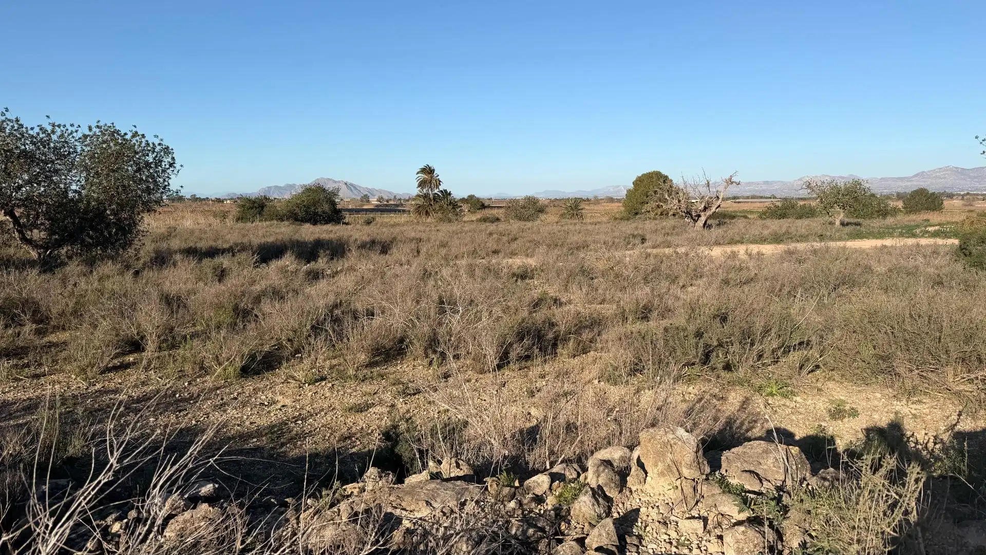 Terreno residencial en venta en La Marina, imagen 36