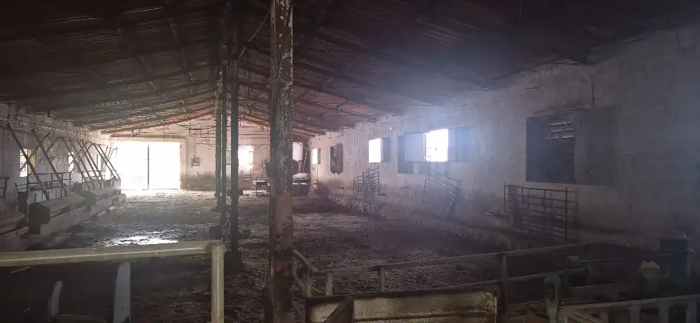 Industrial buildings for sale in Minaya