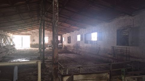 Foto 5 von Fabrikhallen zum Verkauf in Calle del Canto, 56, Minaya, Albacete