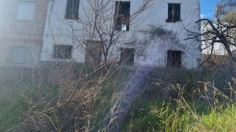 Foto 3 de Finca rústica en venta en Calle Mirad Vega Baja, 55, Torreblascopedro, Jaén