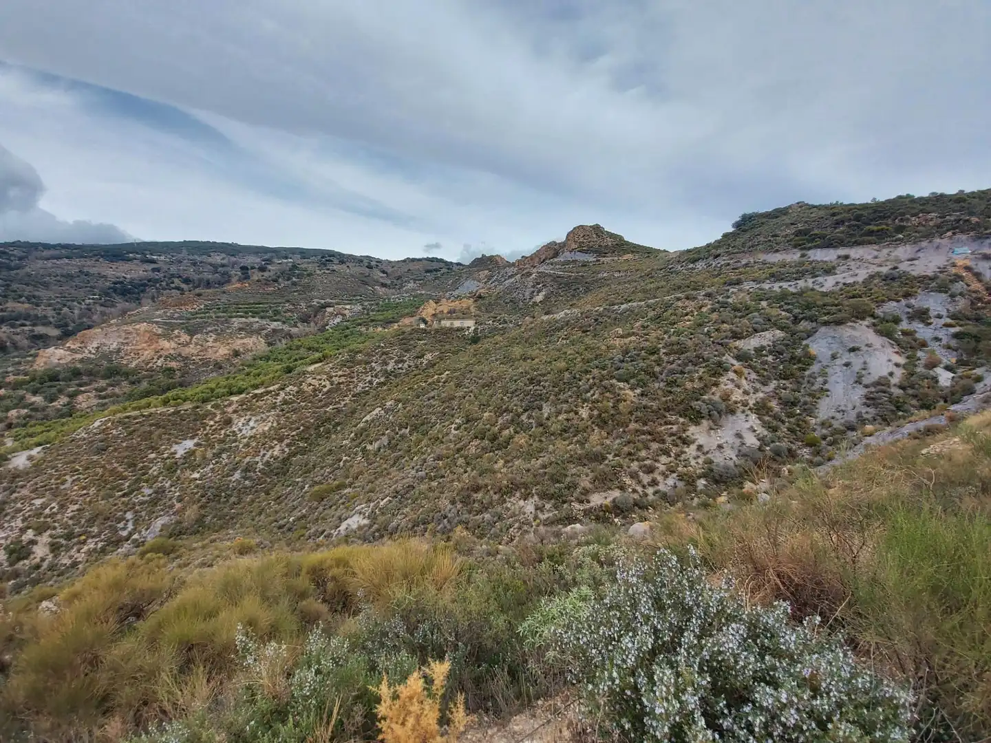 Country homes for sale in Nevada