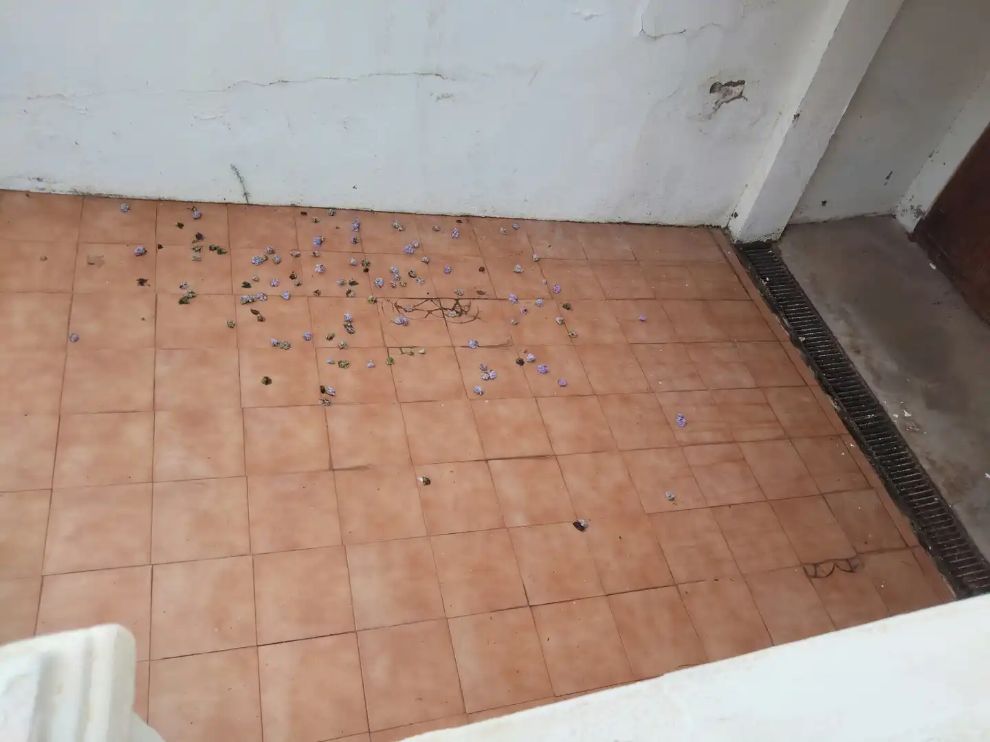 Semi-detached house with garden for sale in Carrer de la Falúa, imagen 24