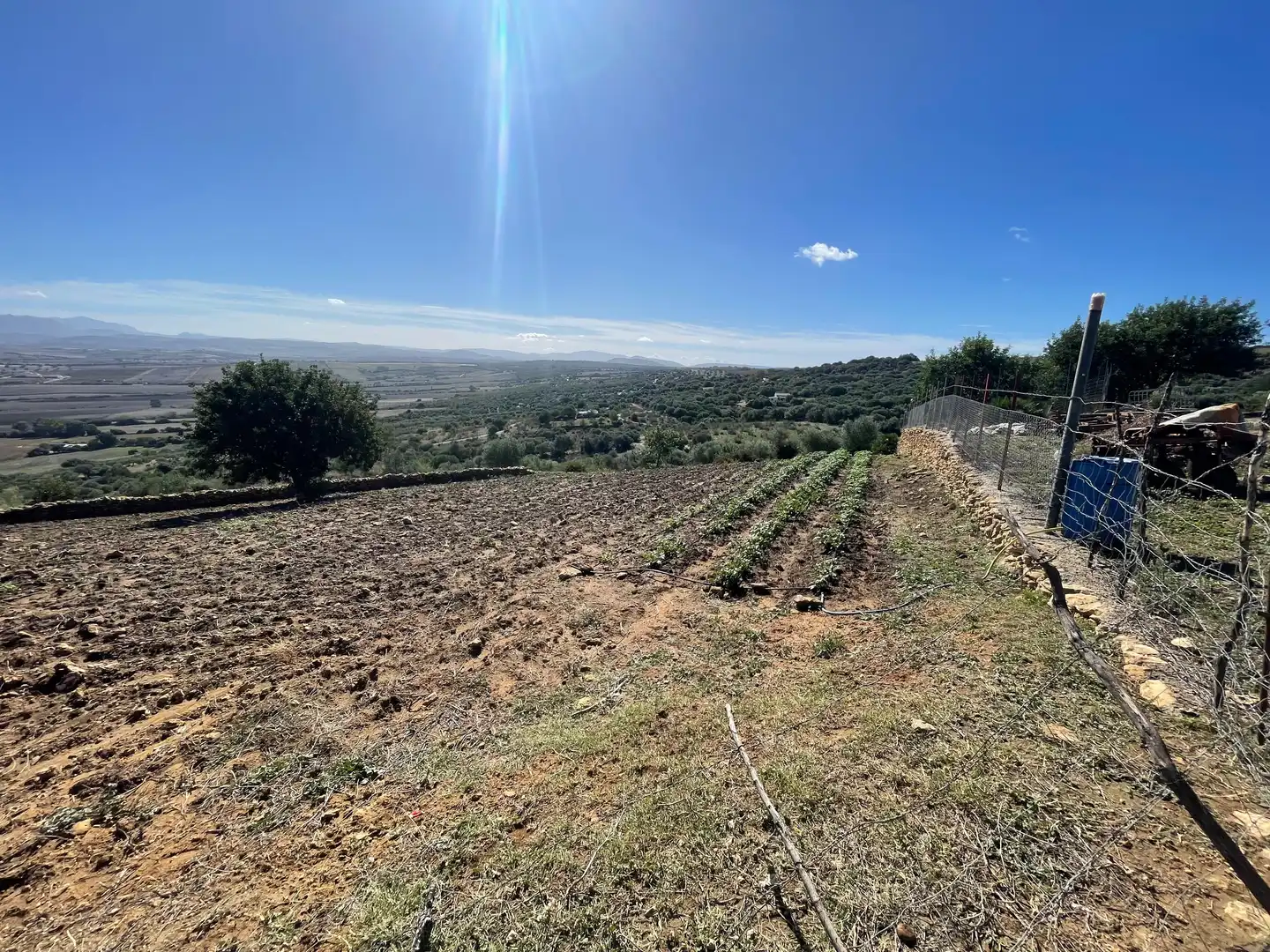 Terreno rustico in vendita a Arcos de la Frontera, imagen 5