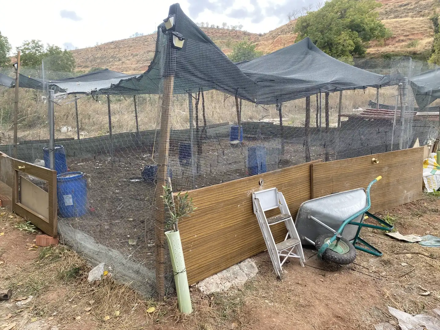 Jardín de Casa o chalet de alquiler en Clarés de Ribota, Zaragoza