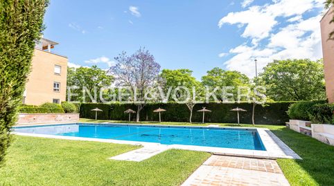 Foto 4 de Piso de alquiler en El Porvenir, Sevilla Capital