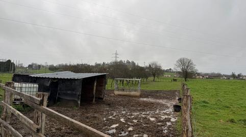 Photo 5 of Residential for sale in Nava, Asturias