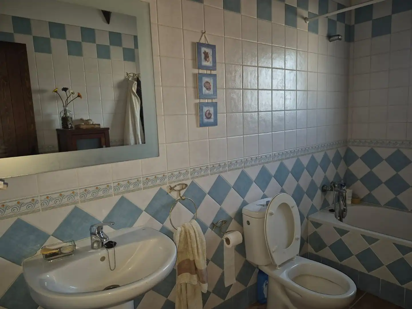 Haus mit Pool zum Verkauf in Zahora, imagen 10