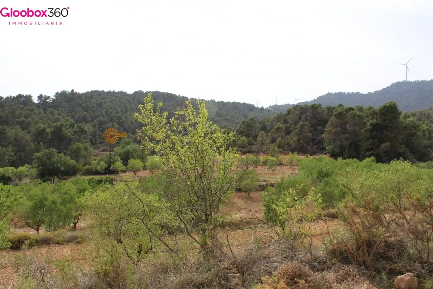 Country homes for sale in Blancafort  with Alarm