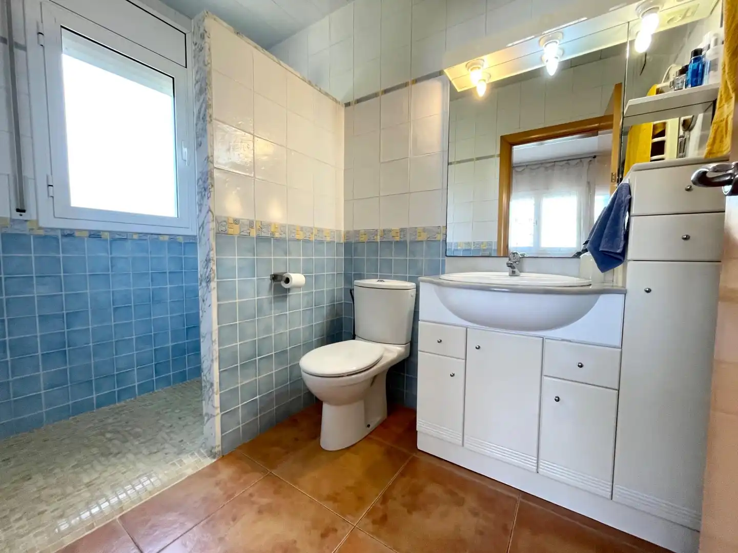 Bany de Casa o xalet en venda en El Vendrell amb Aire condicionat, Jardí privat i Terrassa