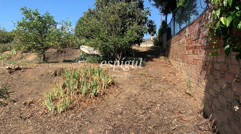 Photo 5 of Land for sale in Dels Pirineus, Bàscara, Girona