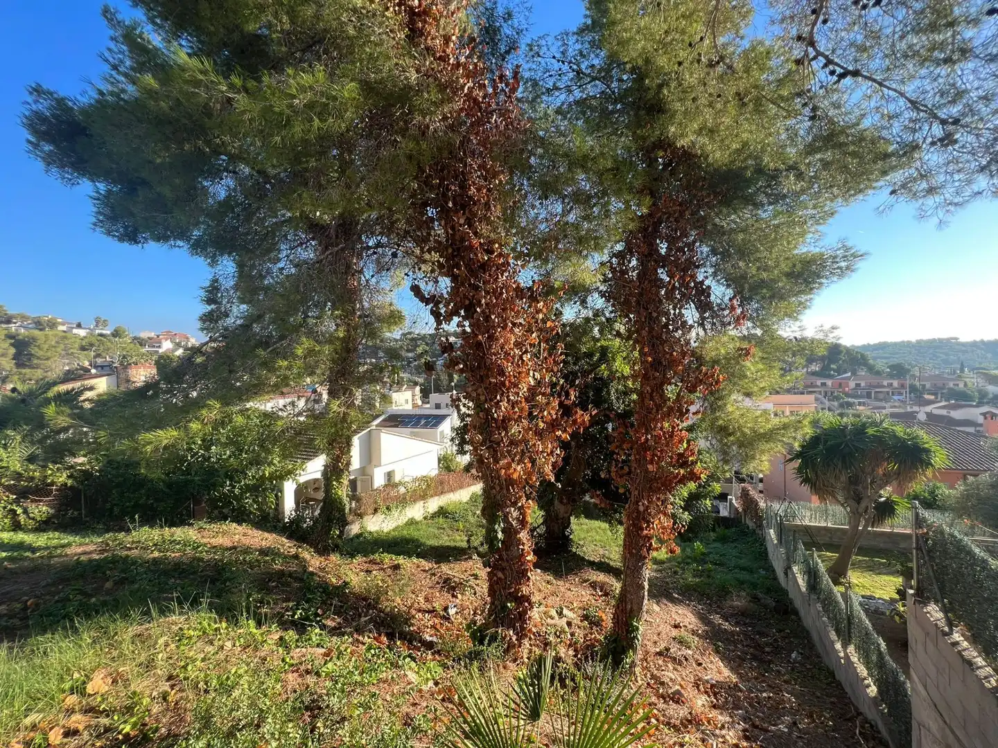 Terreno residencial en venta en Mas Trader - Corral d'En Tort - Corral d'En Cona, imagen 3