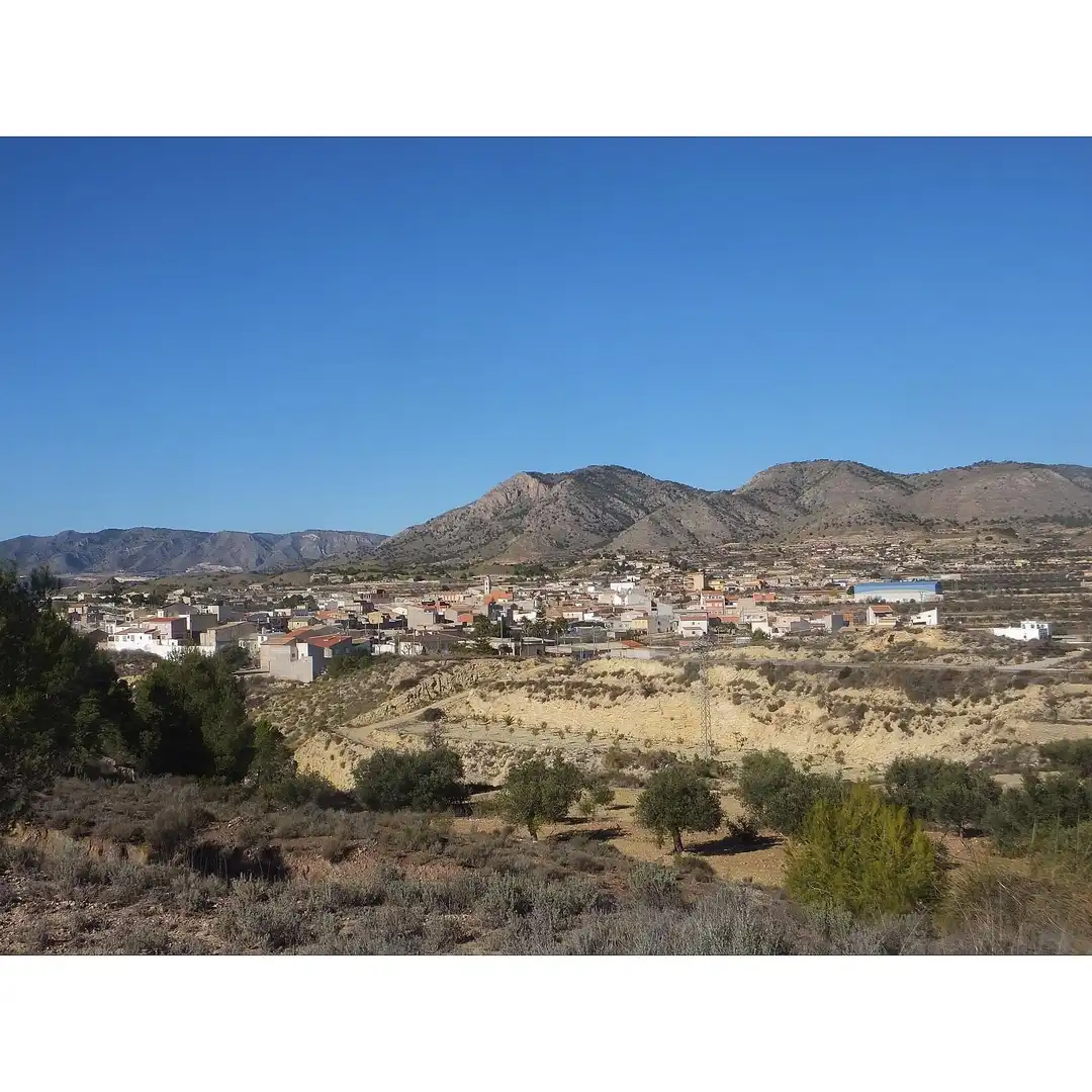 Lands and plots for sale in Abanilla