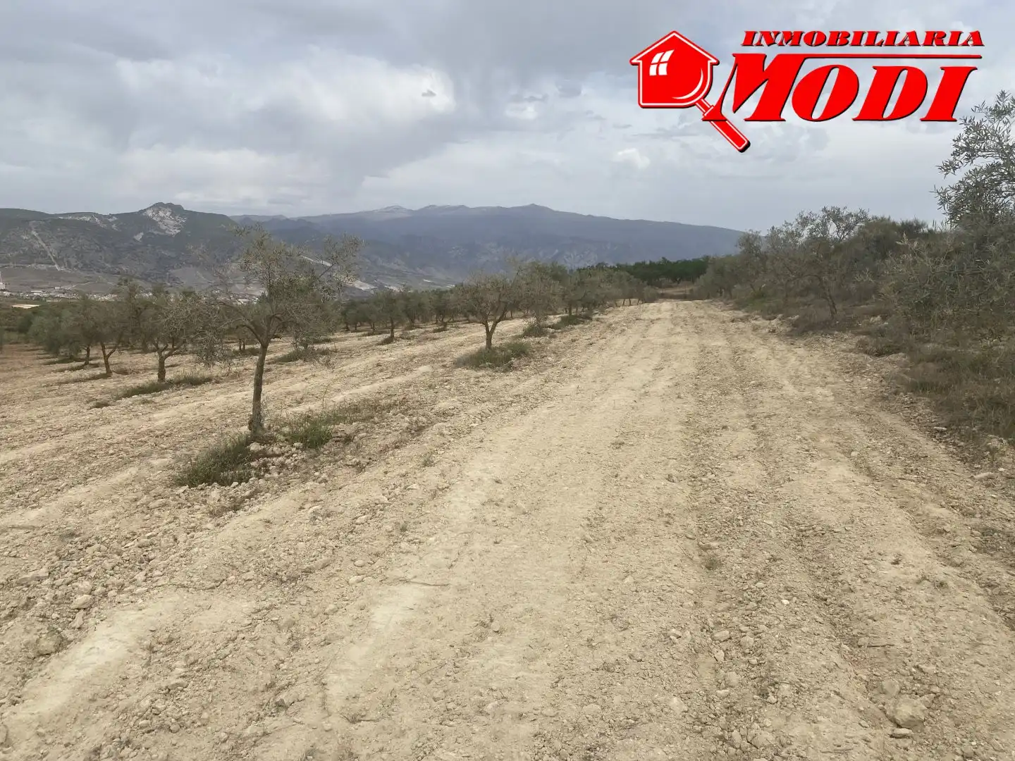 Terrenys i solars en venda a Padul, imagen 16