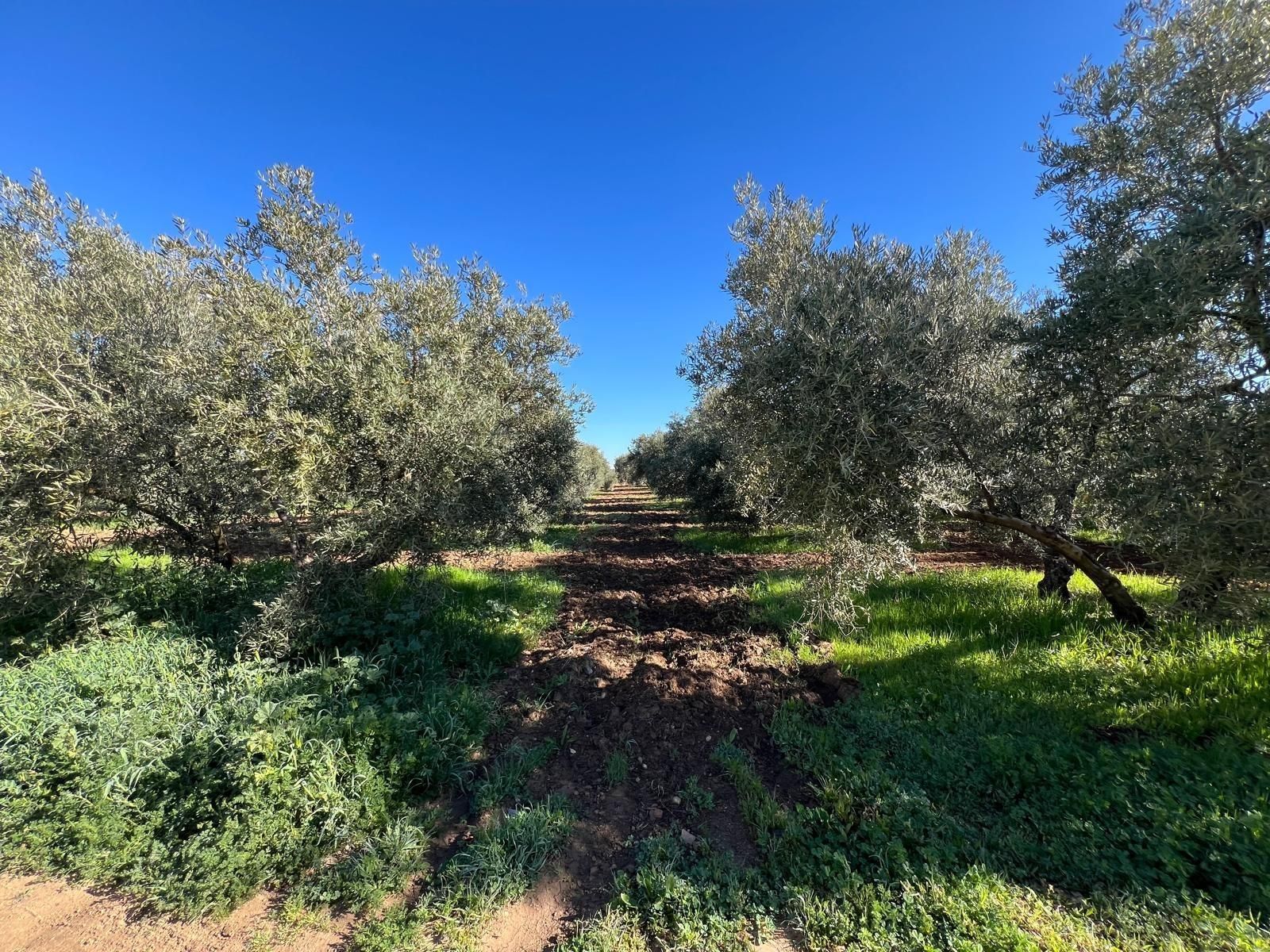 Finca rústica en venda en Antequera amb Calefacció, Terrassa i Traster