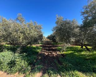Finca rústica en venda en Antequera amb Calefacció, Terrassa i Traster