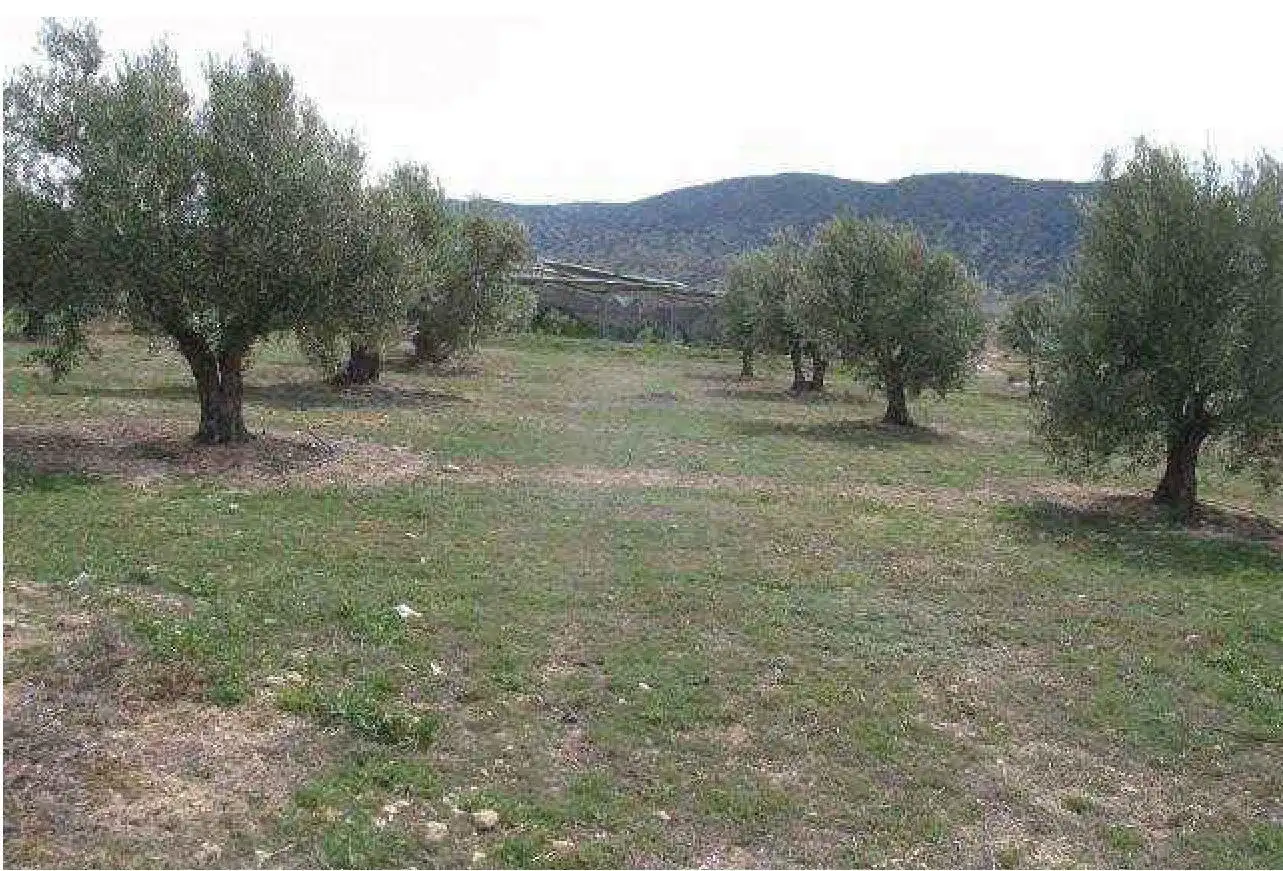Rural land for sale in Cm Orce, imagen 13