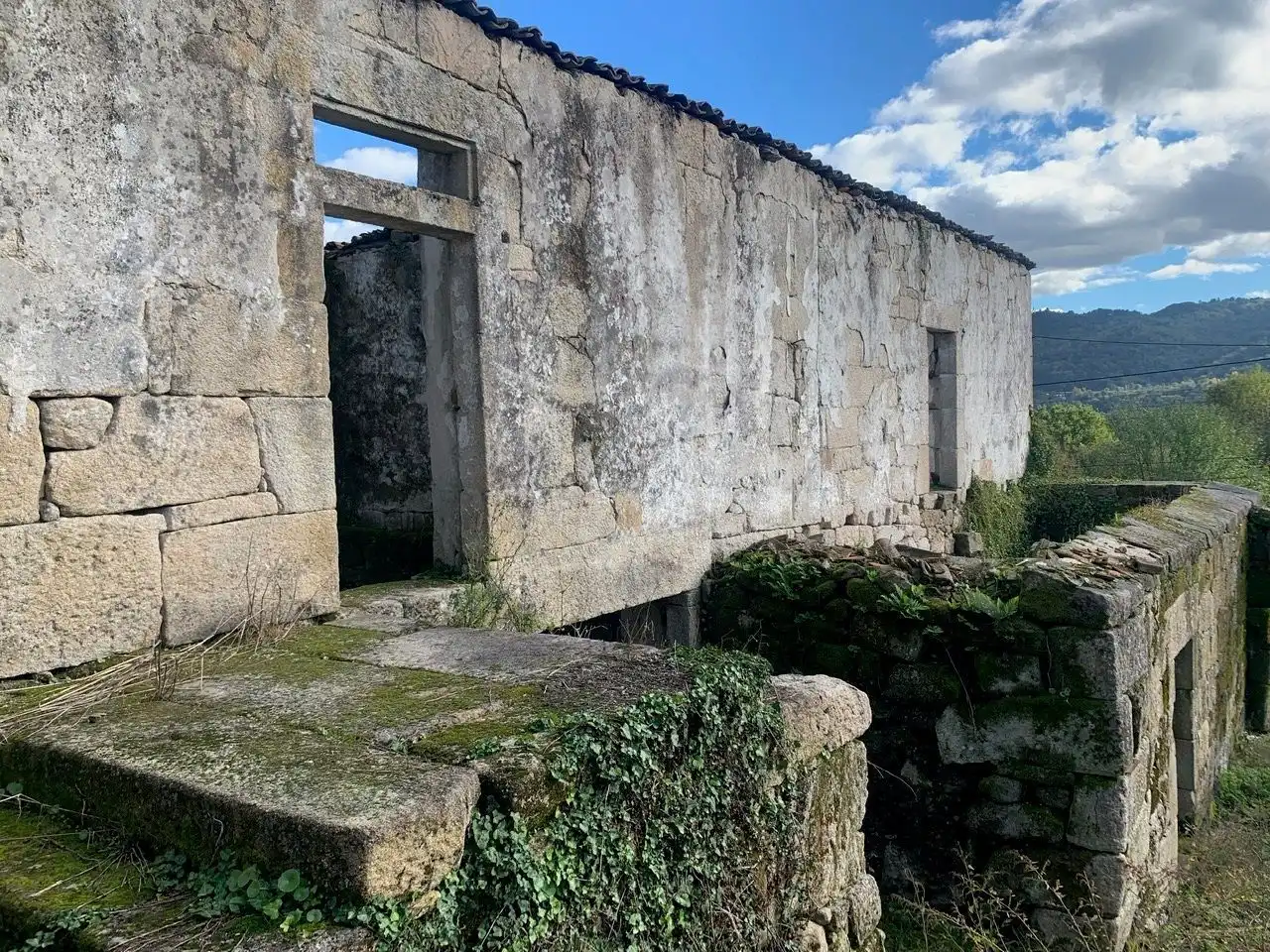 Houses for sale in San Rosendo