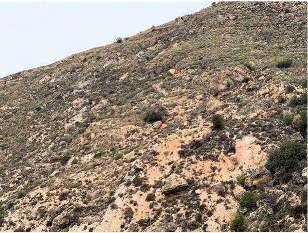 Terreno residencial en Venta en Uleila del Campo