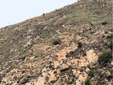 Lands and plots for sale in Uleila del Campo