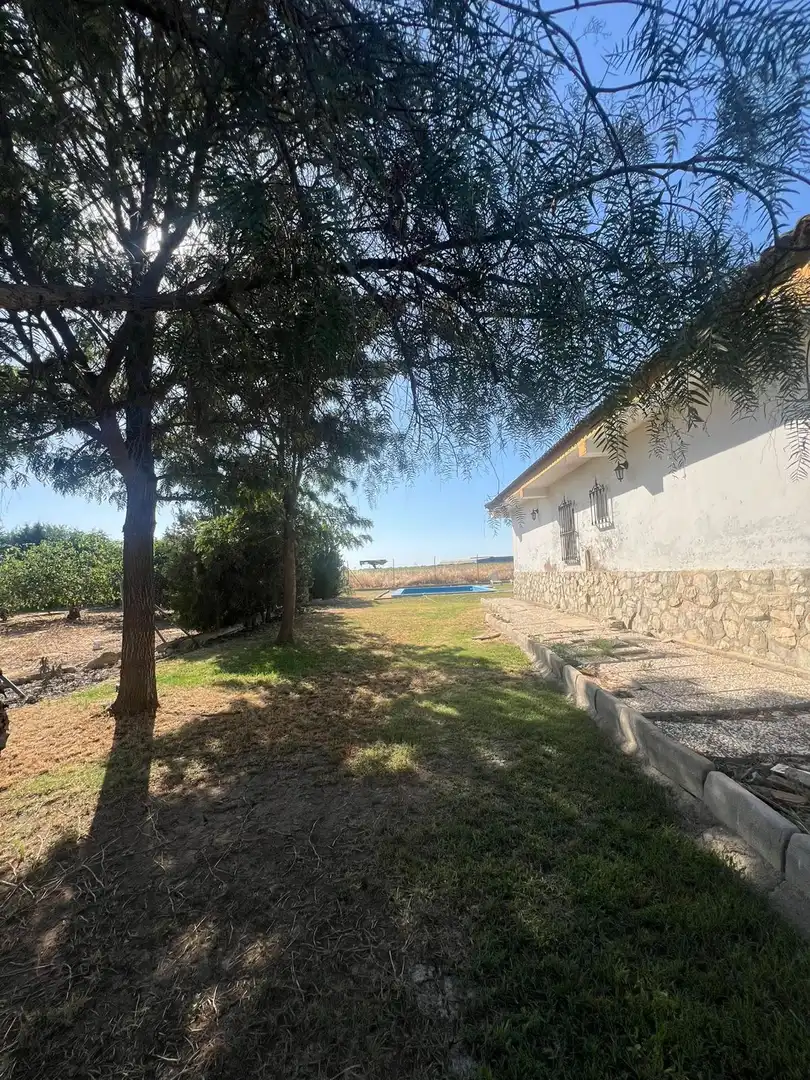 Casa o xalet en venda a Calle Nardo, Carmona
