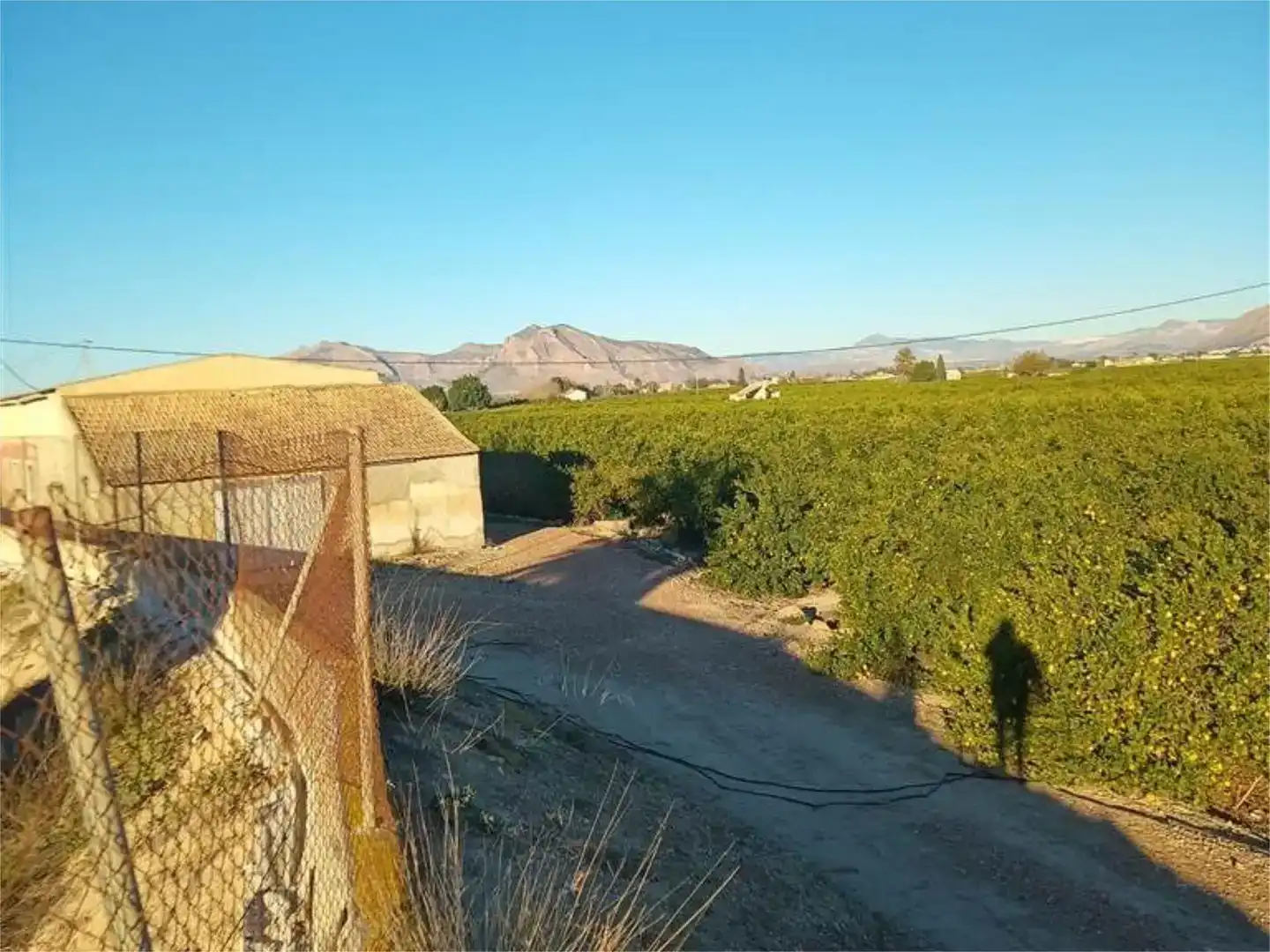 Terreno en venta en Orihuela