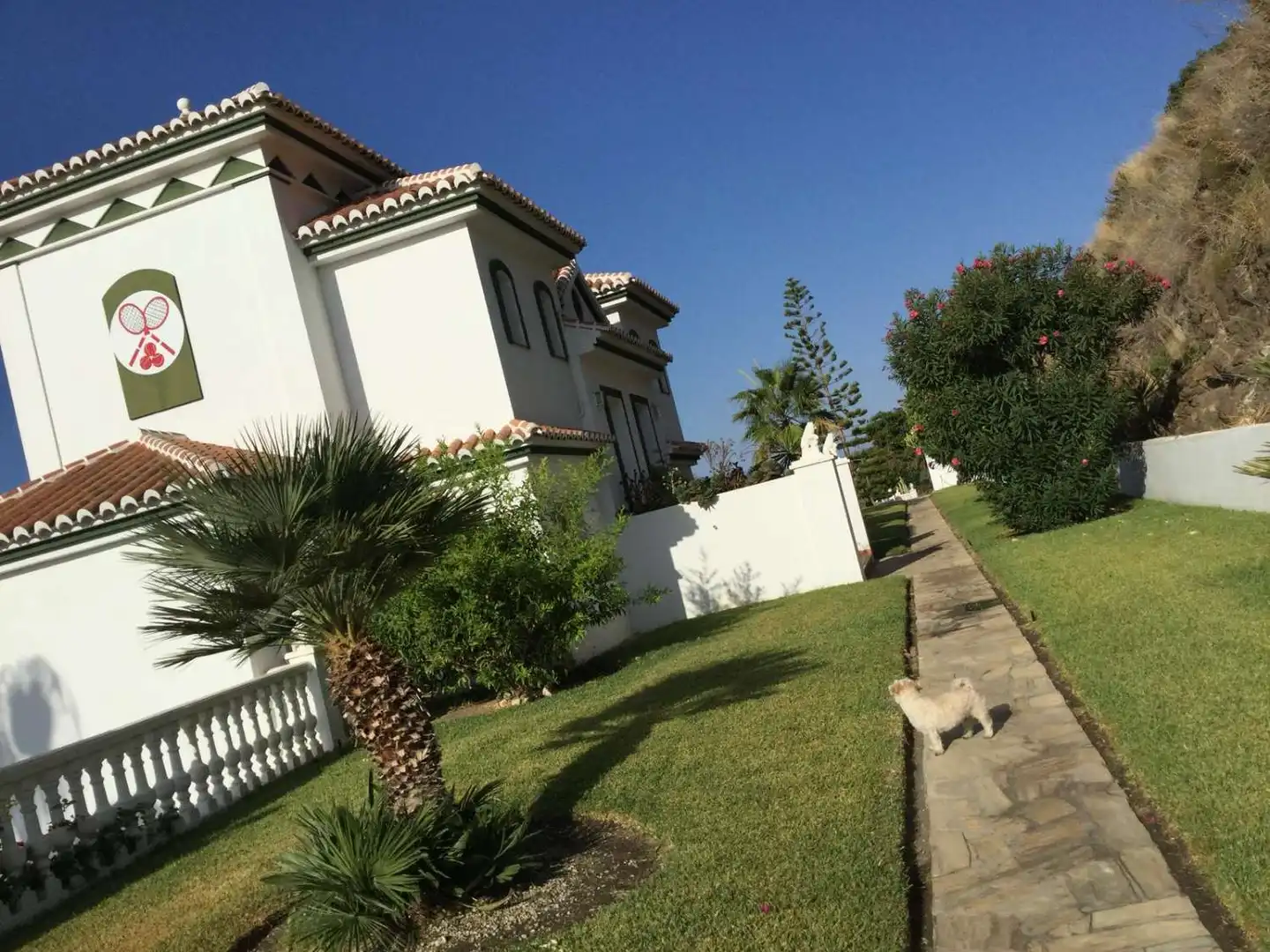 Chalet con piscina en venta en Urbanización Santa Rosa, imagen 39
