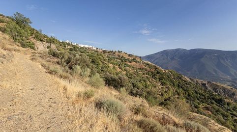 Terreno en Venta en la Alpujarra, Cañar Oportunidad Única en Entorno Rural Encantador, immagine 4