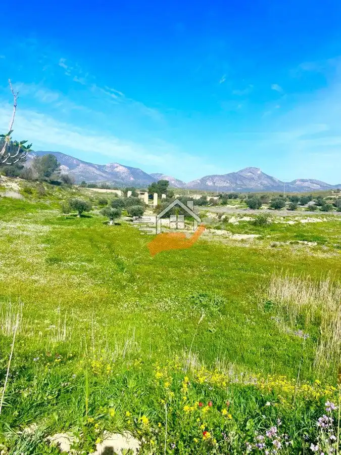 Lands and plots for sale in Pedanías Norte, imagen 21