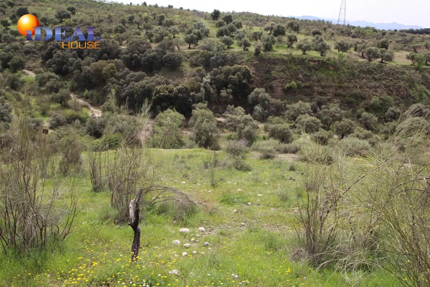 Country homes for sale in Víznar