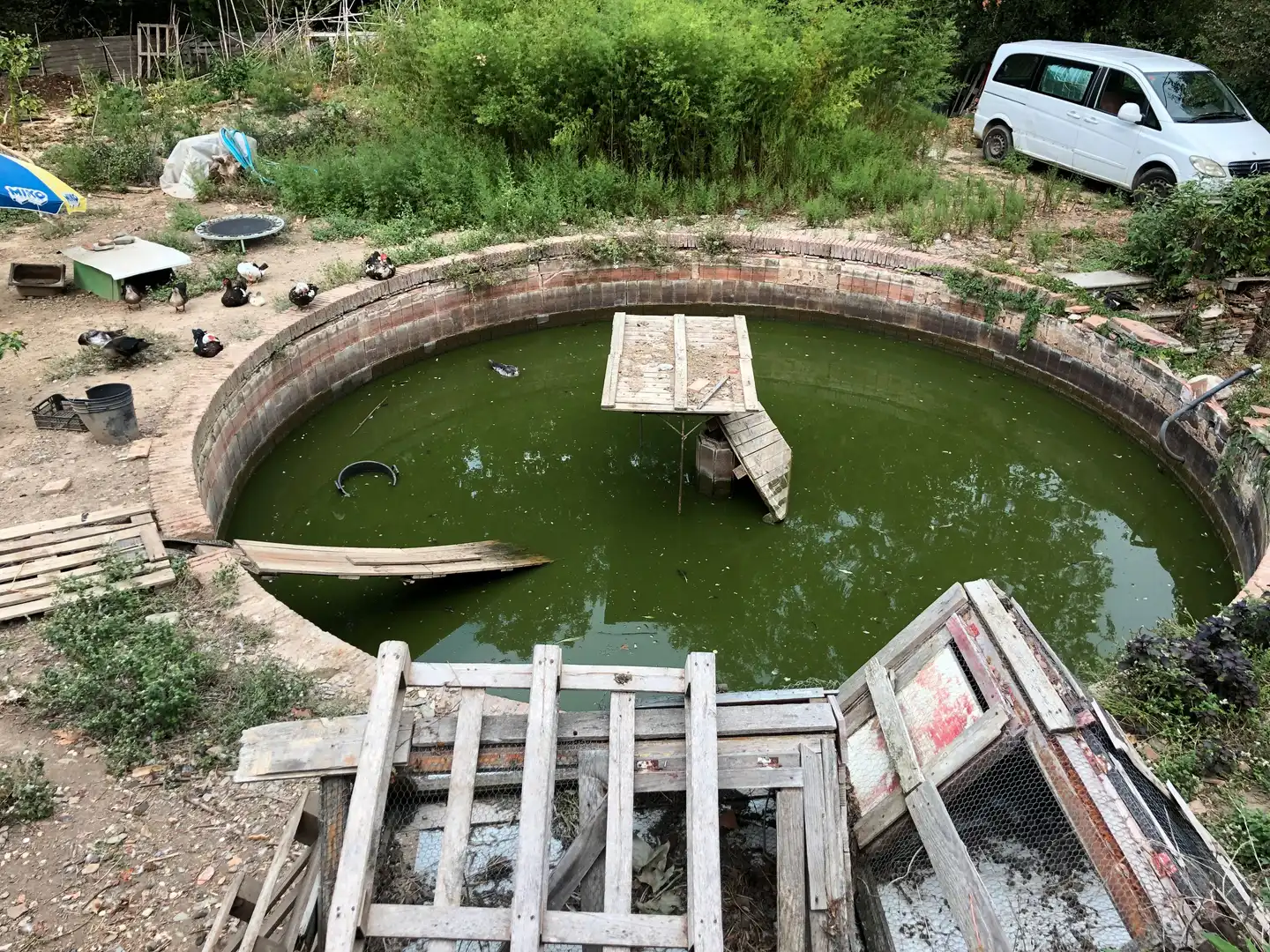 Piscina de Finca rústica en venta en Sant Celoni