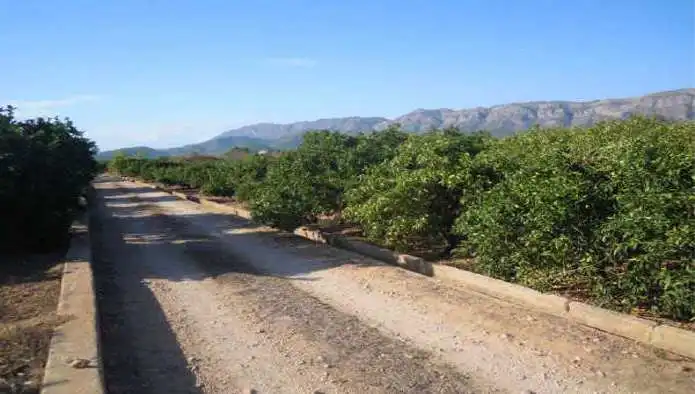 Vista exterior de Terreno en venta en Simat de la Valldigna