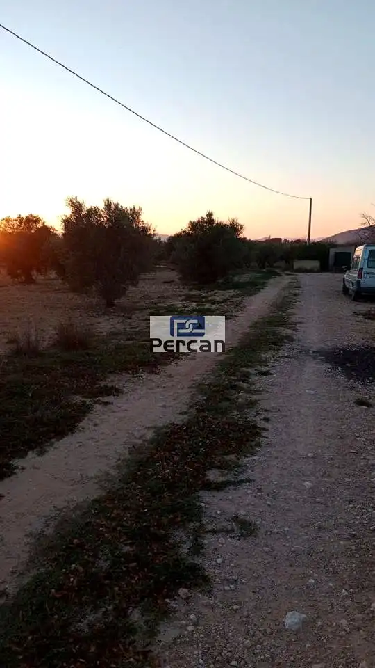 Terrenos y solares en venta en Mariscal, imagen 4