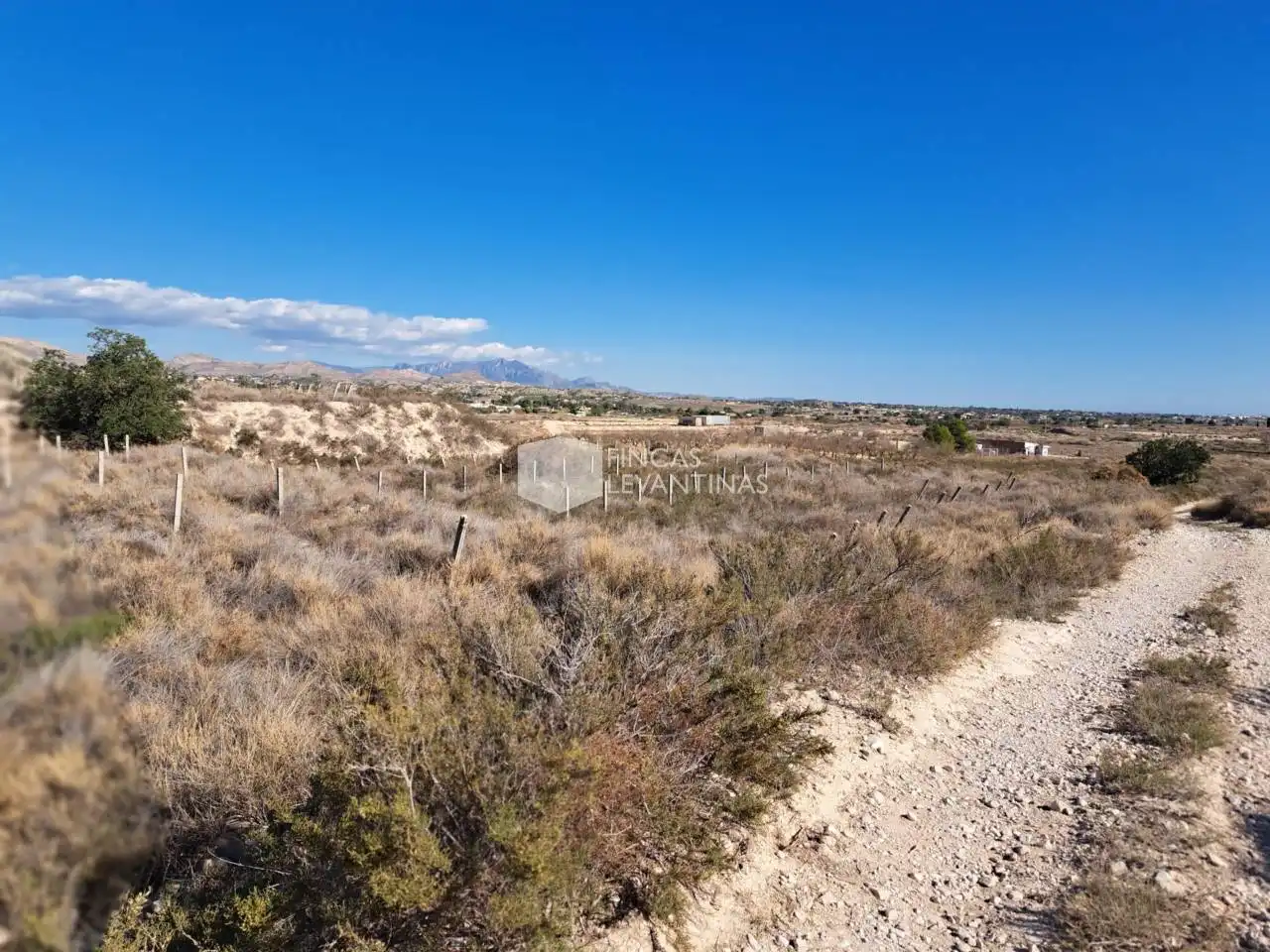 Terreny residencial en venda a Partidas de Alicante, imagen 31