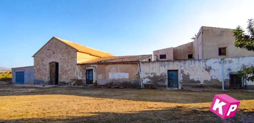 Vista exterior de Finca rústica en venda en Elche / Elx amb Jardí privat