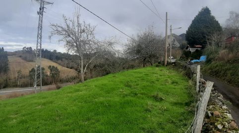 FINCA EDIFICABLE AL LADO DE RIBADESELLA, imagen 5