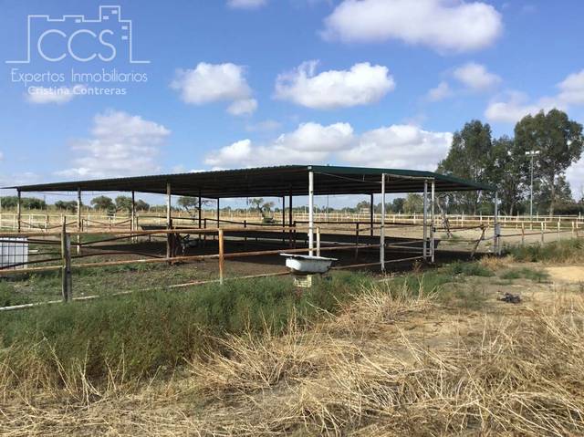 Finca rústica en Venta en Sanlúcar la Mayor