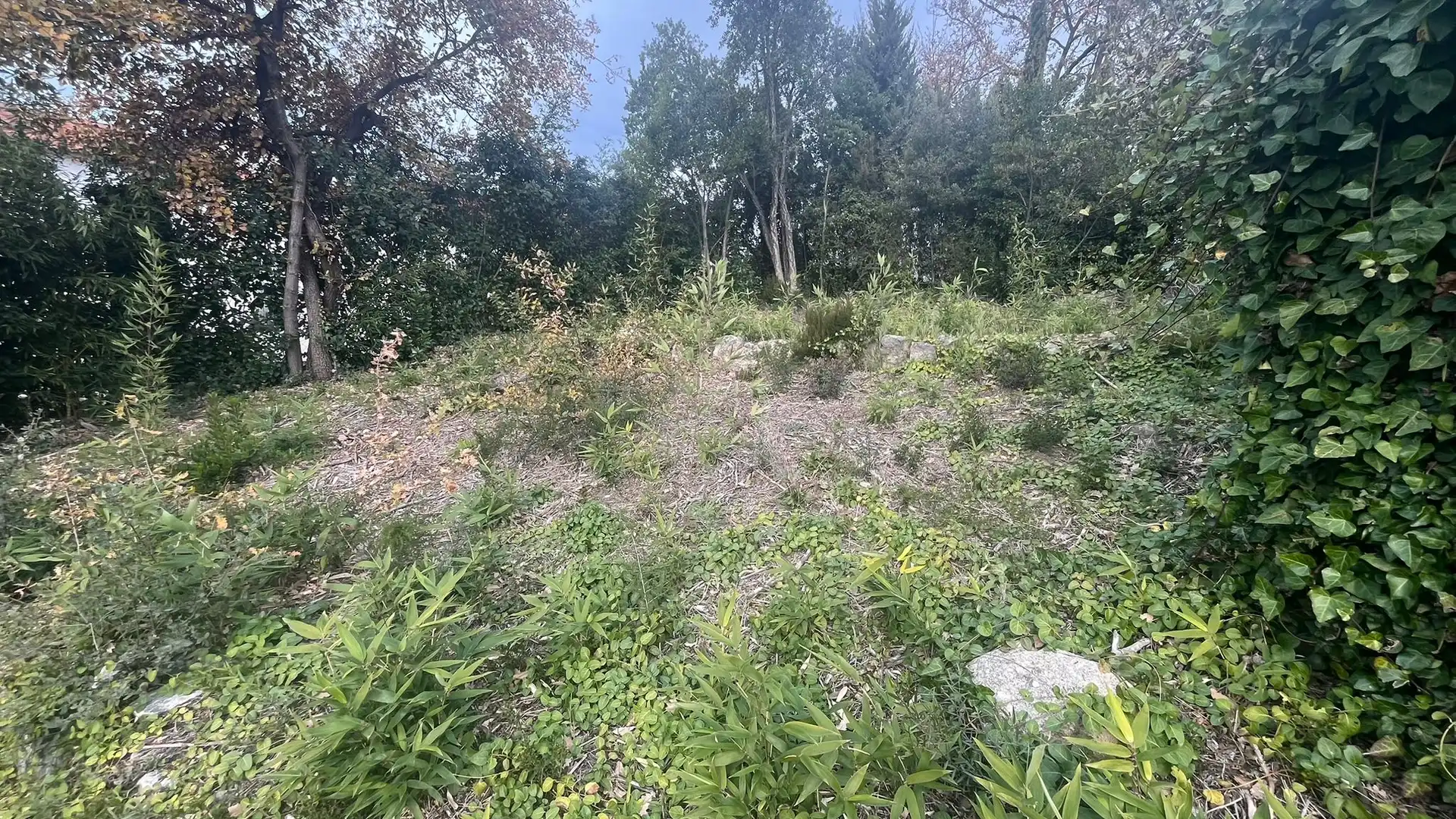 Terreno residencial en venta en Riells i Viabrea, imagen 8