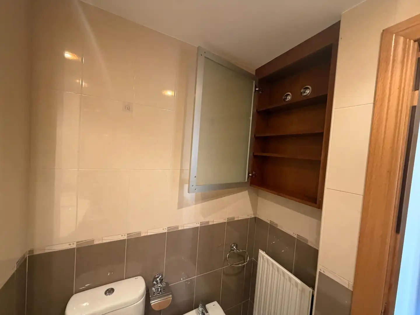Bathroom of Flat for rent in Nava, Asturias