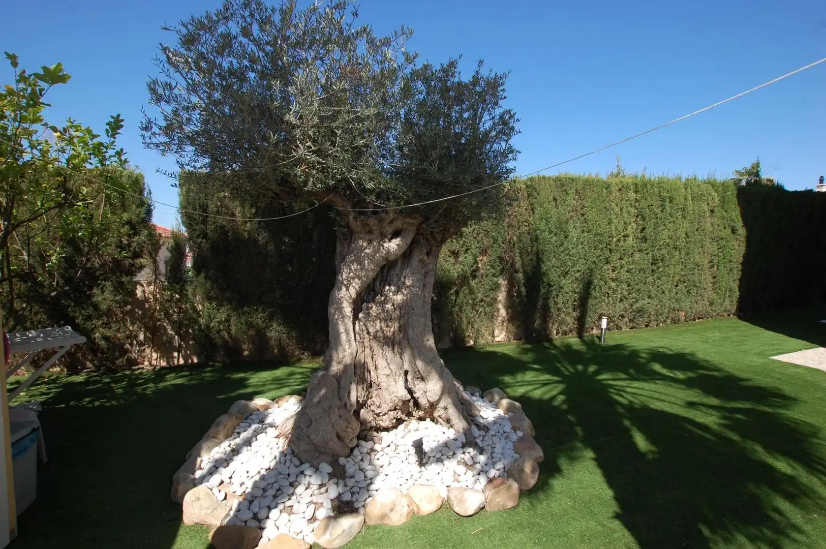 Jardí de Casa o xalet en venda en Rojales amb Calefacció, Terrassa i Piscina